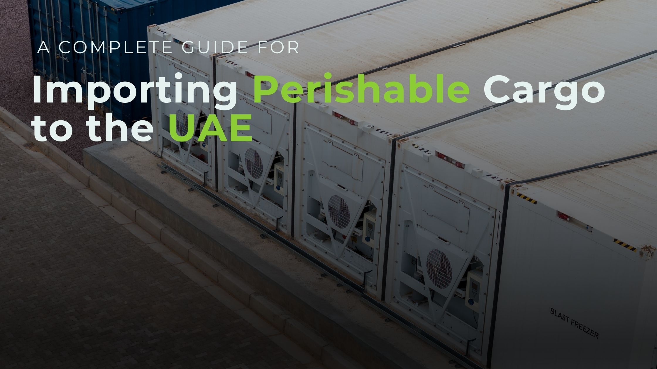end to end logistics for fresh perishables shipping to and from the uae temperature controlled transport plus 2c to plus 8c live tracking and temperature monitoring full insurance and customs support for perishable cargo chilled storage on arrival bonded and free zone cold facilities refrigerated trucks and reefer containers quality checks at loading and discharge time critical delivery to supermarkets hotels and horeca 24 7 cold chain visibility and customer support